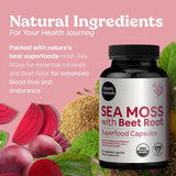 Detalle de ingredientes clave en Atlantic Naturals Sea Moss con Remolacha.