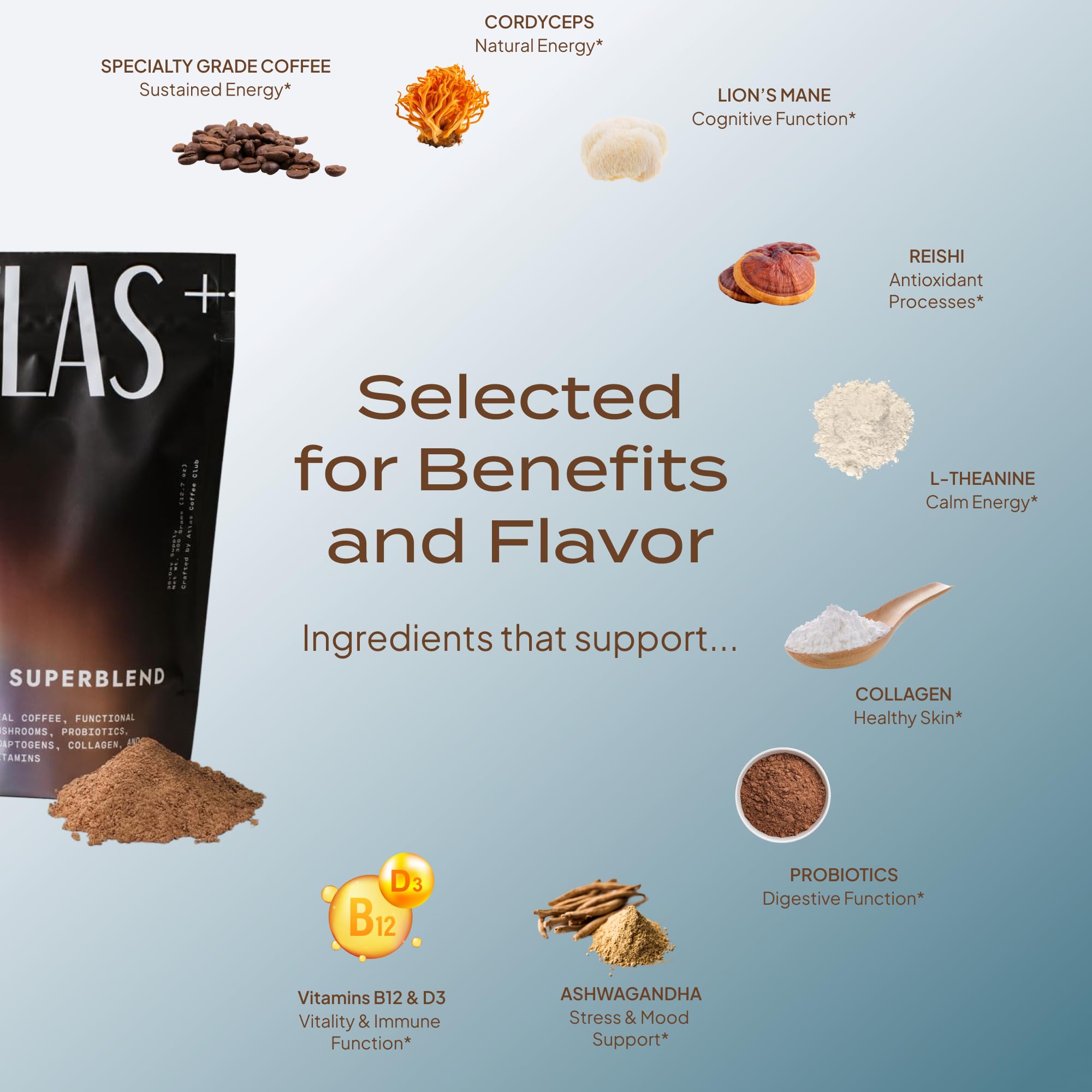 Atlas Coffee Club Superblend, melena de león para enfoque mental.