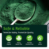 ATNreuro espirulina en polvo para hornear y batidos, versatilidad en la cocina