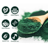 ATNreuro polvo de espirulina para smoothies, sabor suave y disolución rápida