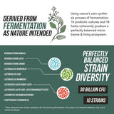 Auivty Flora Biome Probiotico líquido, dosis de una cucharada, fácil de tomar.