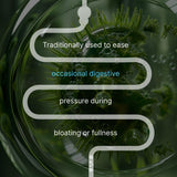 AUTHENTA IBShield, dosis-diaria-simple: conveniente para rutinas saludables