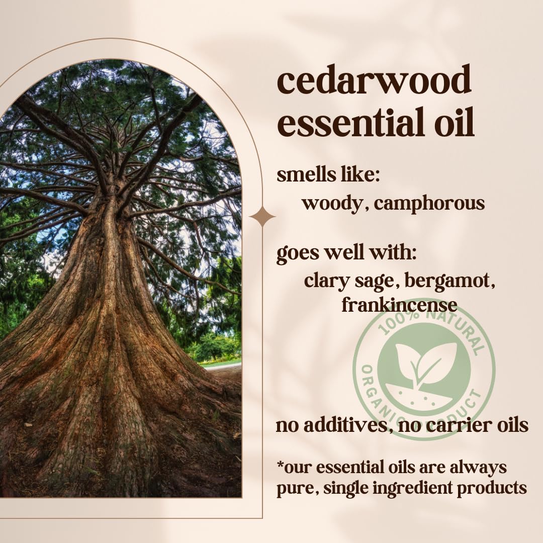 Avivni Cedarwood: aroma terroso que complementa mezclas naturales