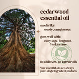 Avivni Cedarwood: aroma terroso que complementa mezclas naturales