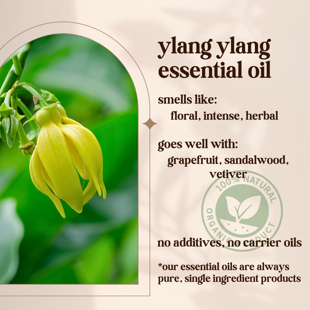 Aroma floral intenso para ambientar espacios con Avivni Ylang Ylang.