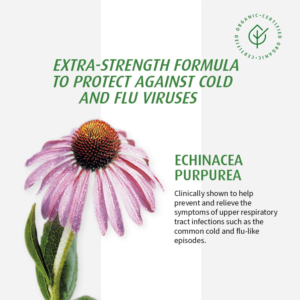 Extractos de echinácea fresca para mayor potencia herbal