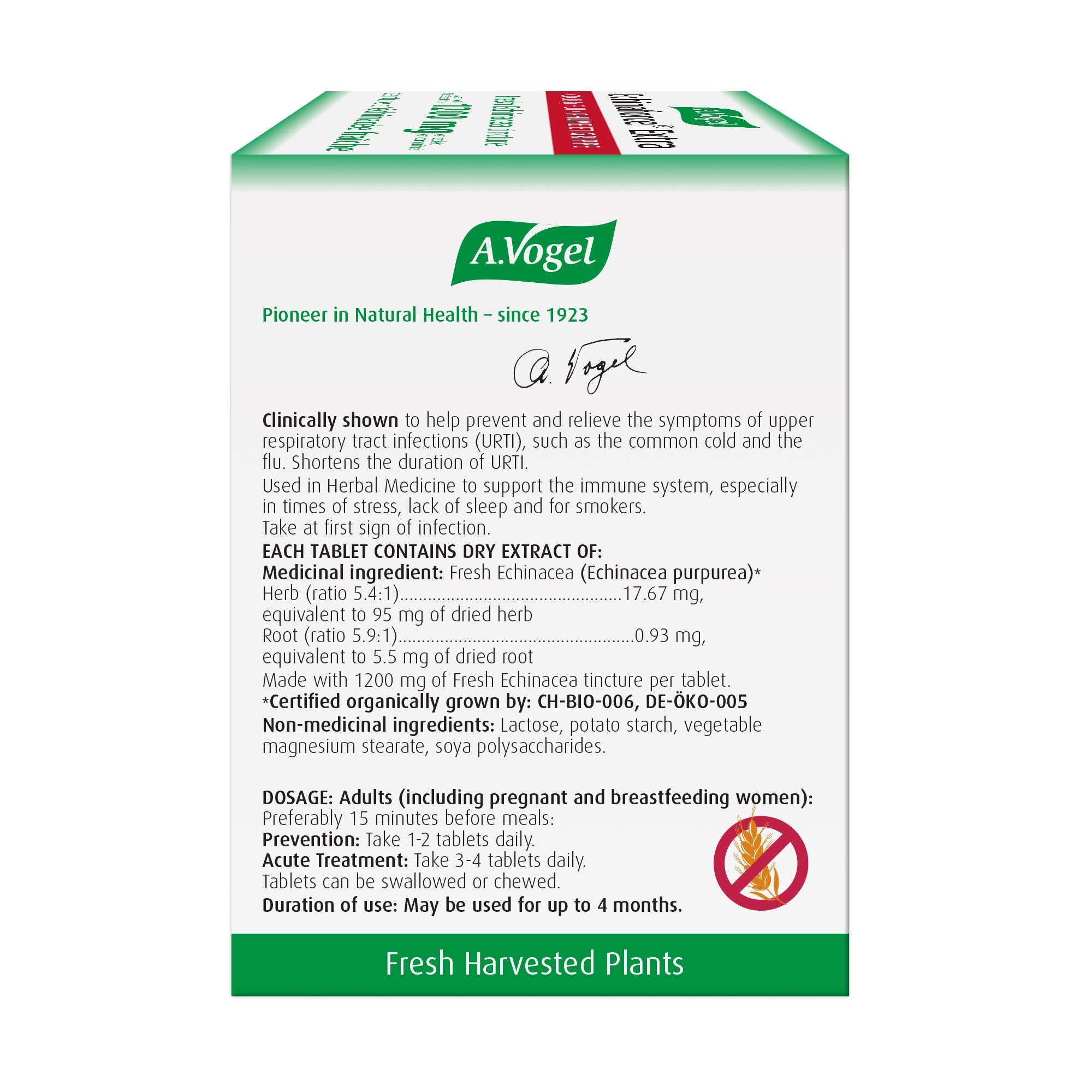 Producto sin gluten ni azúcar para dietas específicas