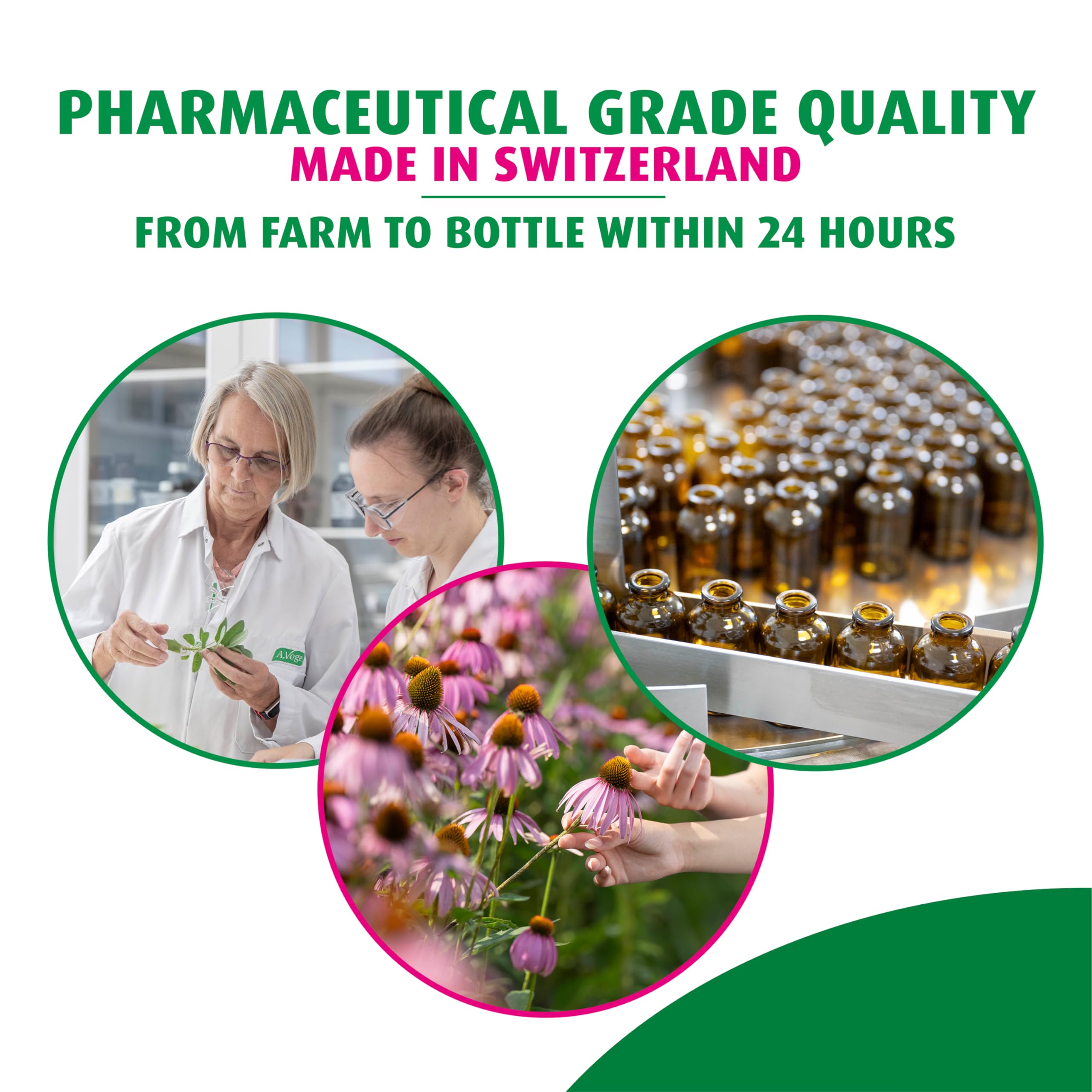 A.Vogel Echinaforce Tabletas experiencia herbal suiza, 100 años