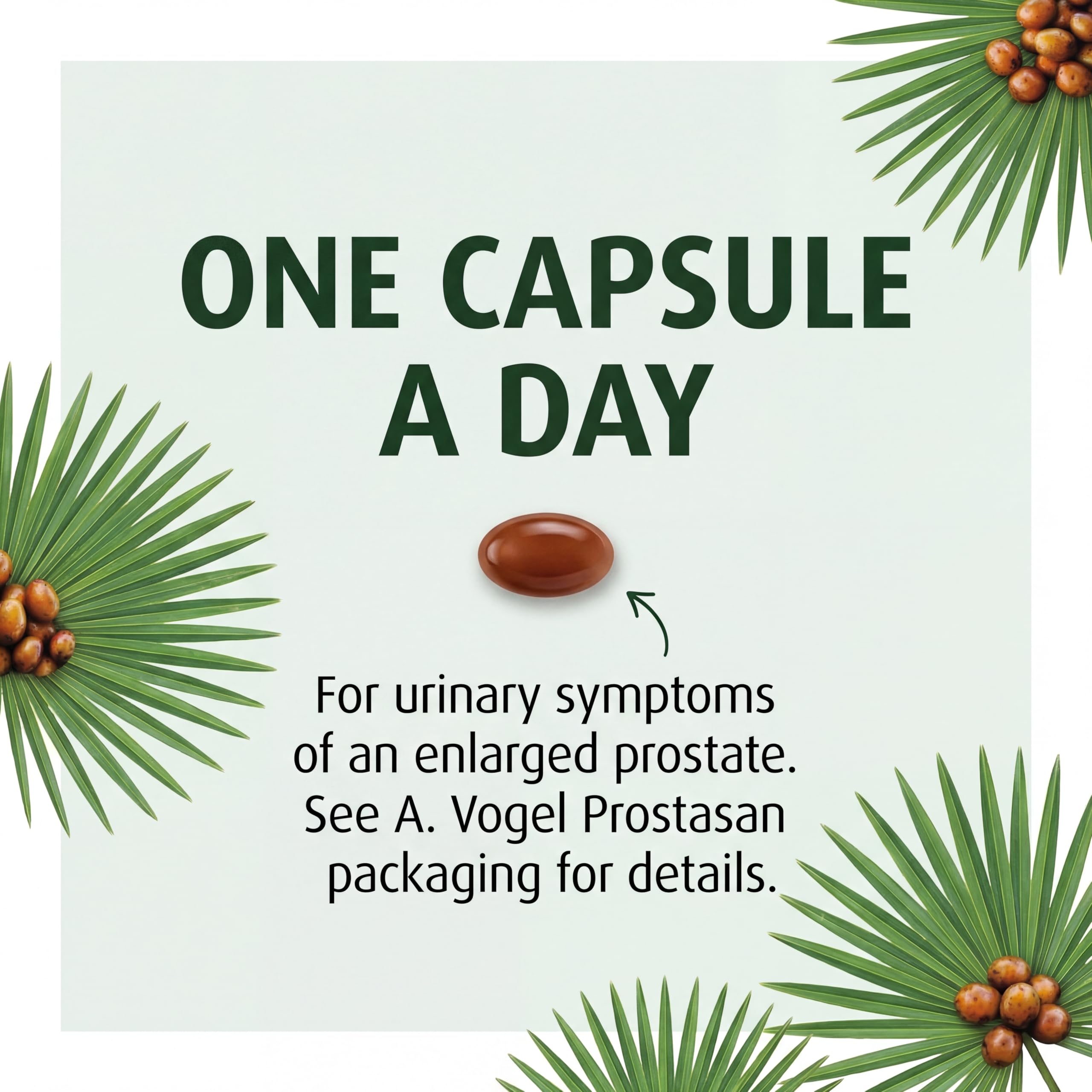 A.Vogel Prostasan: cápsulas sabal palmetto, primer plano de cápsulas para guía de compra