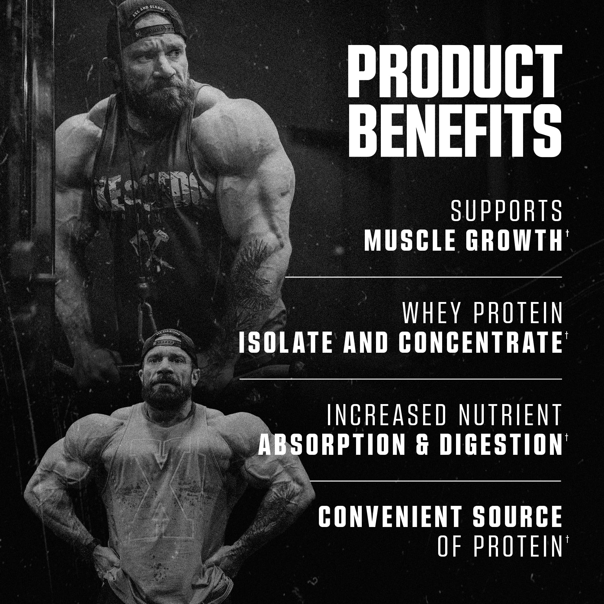 Fibra prebiótica en Axe & Sledge Whey More para digestión