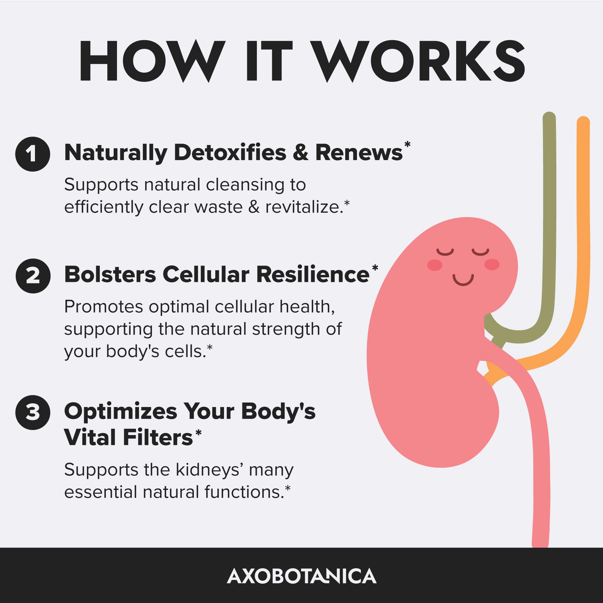 Axobotanica cola de maíz, ingrediente herbal para flujo urinario.