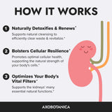 Axobotanica cola de maíz, ingrediente herbal para flujo urinario.