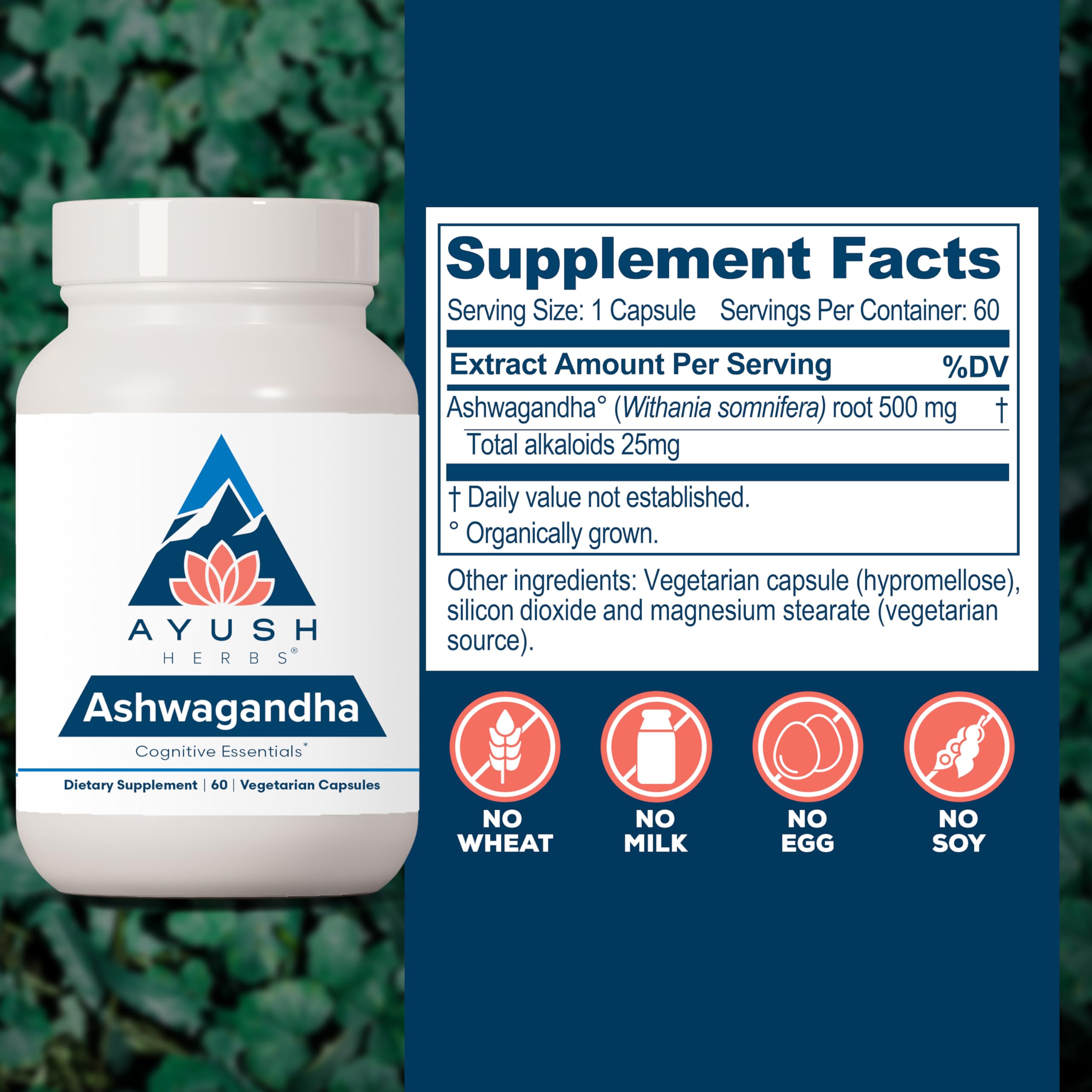 Ayush Herbs Ashwagandha: cápsulas calidad-del-sueno para descanso reparador