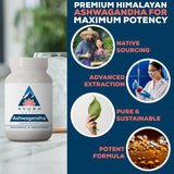Ayush Herbs Ashwagandha: cápsulas pureza-y-potencia para soporte diario