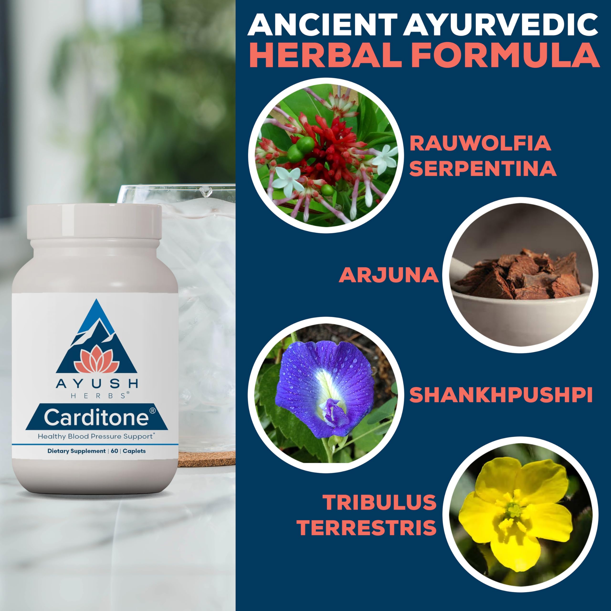 Ayush Herbs Carditone con arjuna para favorecer la circulación