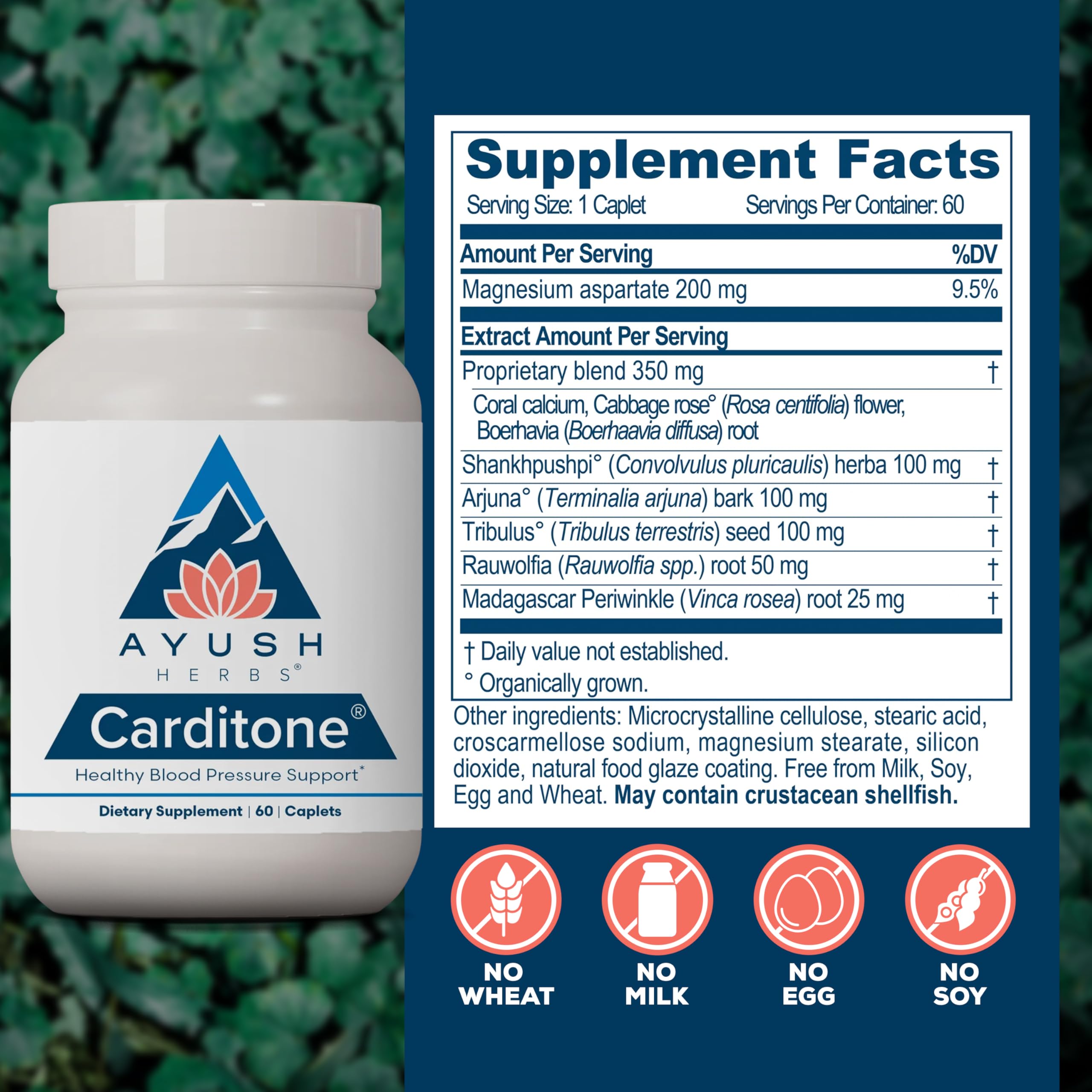 Ayush Herbs Carditone con rauwolfia para apoyar la función cardíaca
