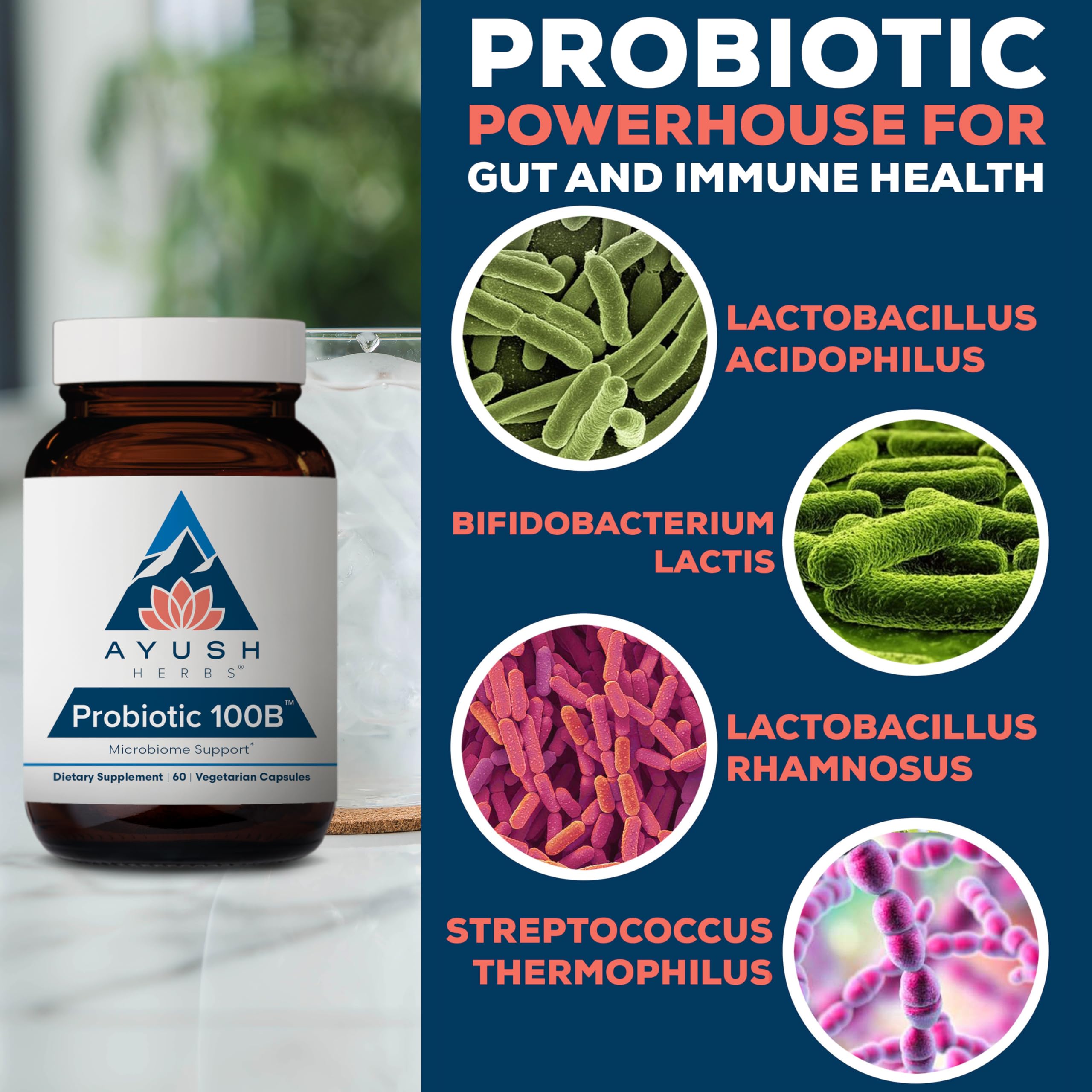 Ayush Herbs Probiótico 100B, dosis diaria para salud intestinal sostenida.