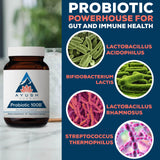 Ayush Herbs Probiótico 100B, dosis diaria para salud intestinal sostenida.