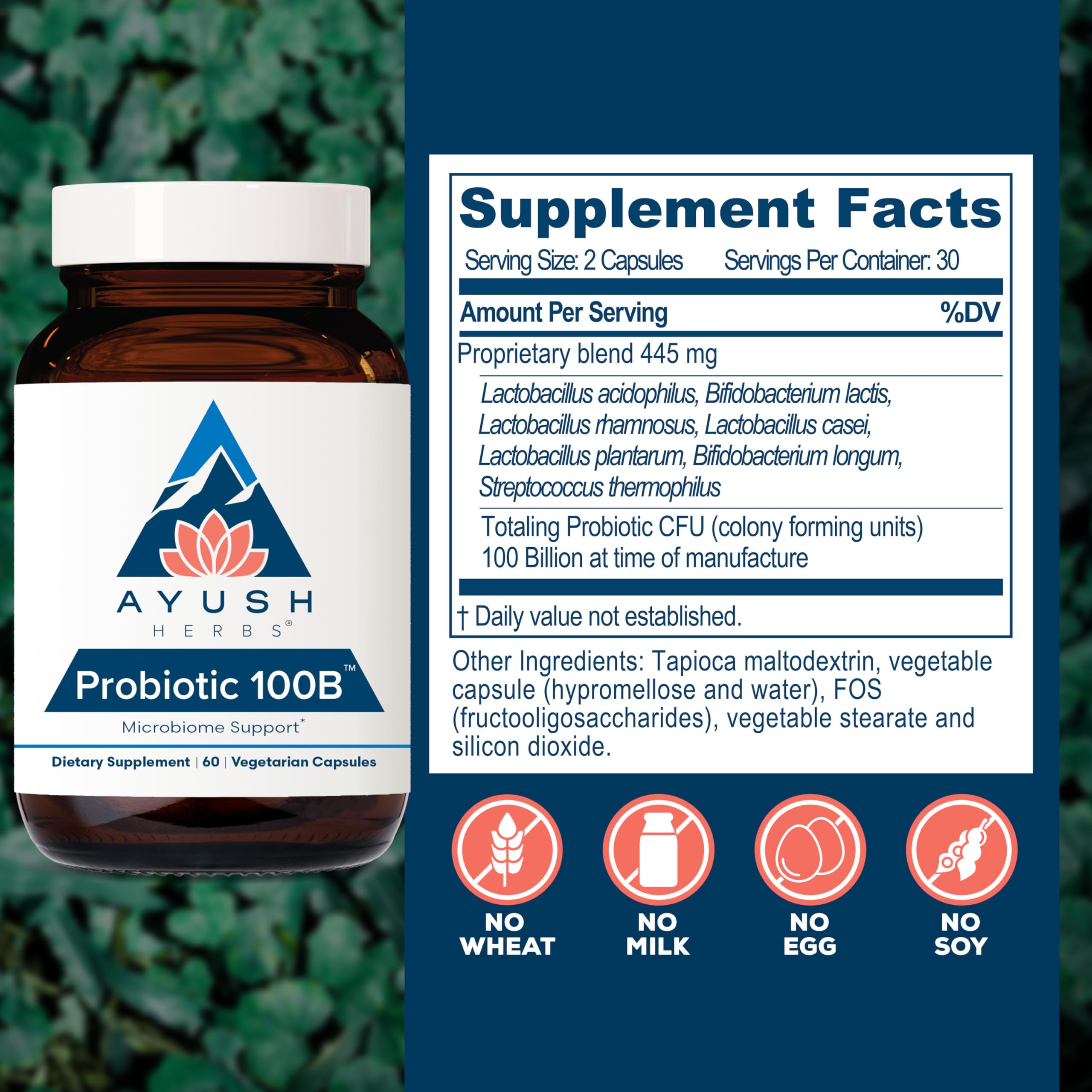 Ayush Herbs Probiótico 100B, etiqueta clara con la fórmula prebiótica.