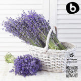 Capsulas de lavanda b sobre mesa, presentación limpia y sencilla.
