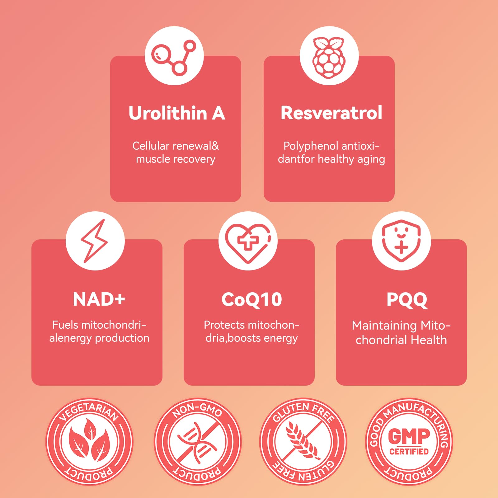 Babivek Urolithin A Gummies con NAD y CoQ10 para apoyo de energía celular.