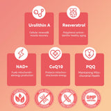 Babivek Urolithin A Gummies con NAD y CoQ10 para apoyo de energía celular.