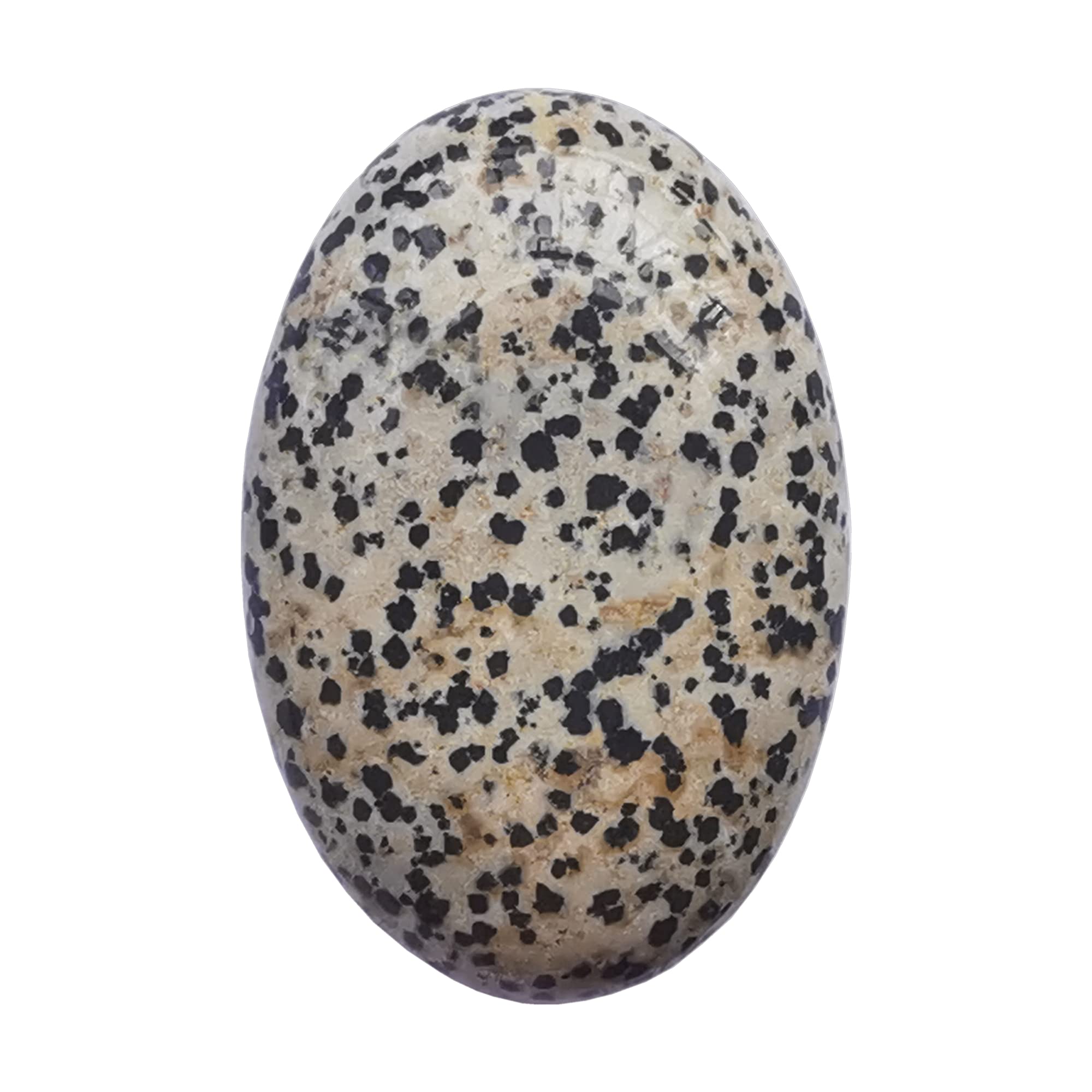 Piedra ovalada dalmatiana de Bacatgem, ideal para meditación y equilibrio emocional.