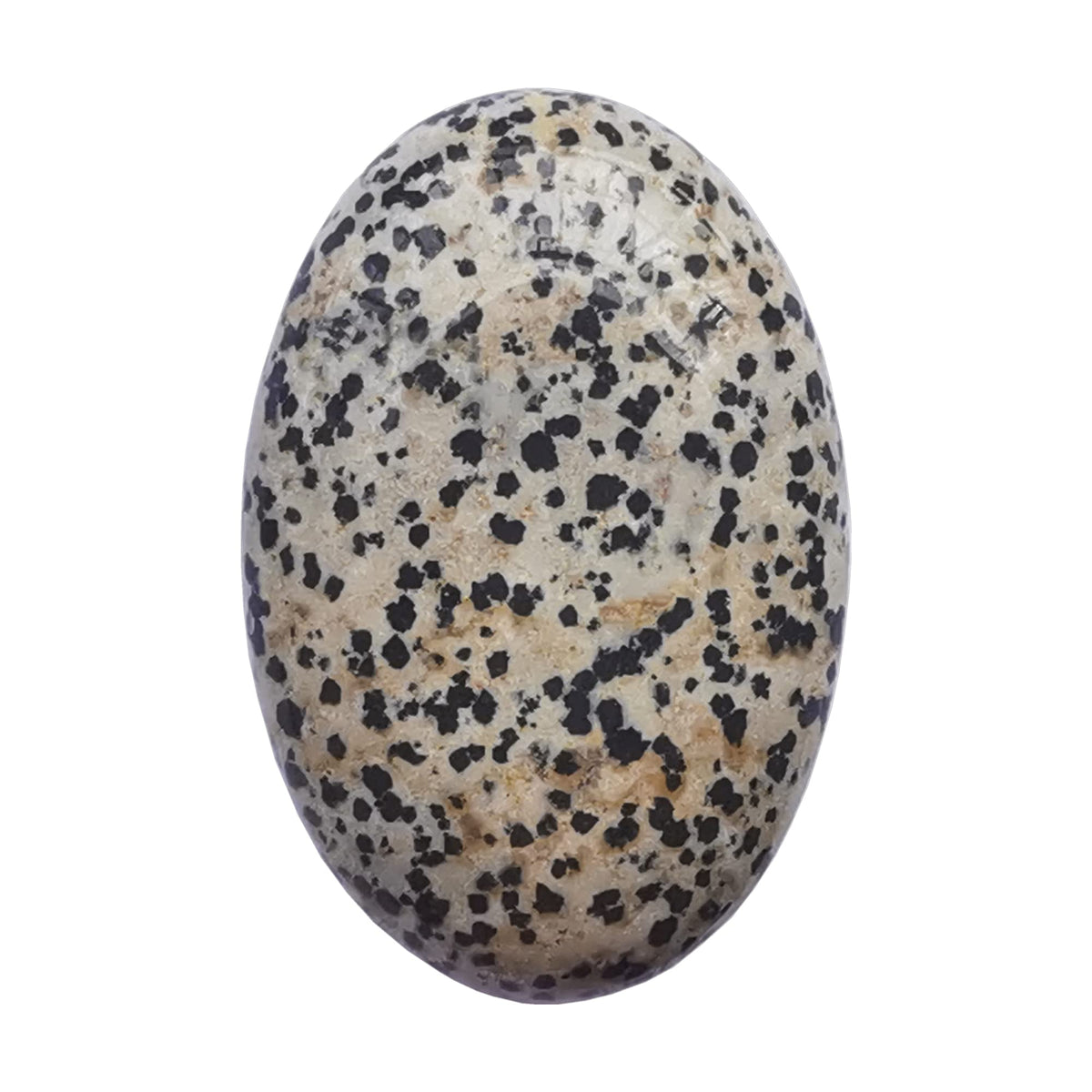 Piedra ovalada dalmatiana de Bacatgem, ideal para meditación y equilibrio emocional.