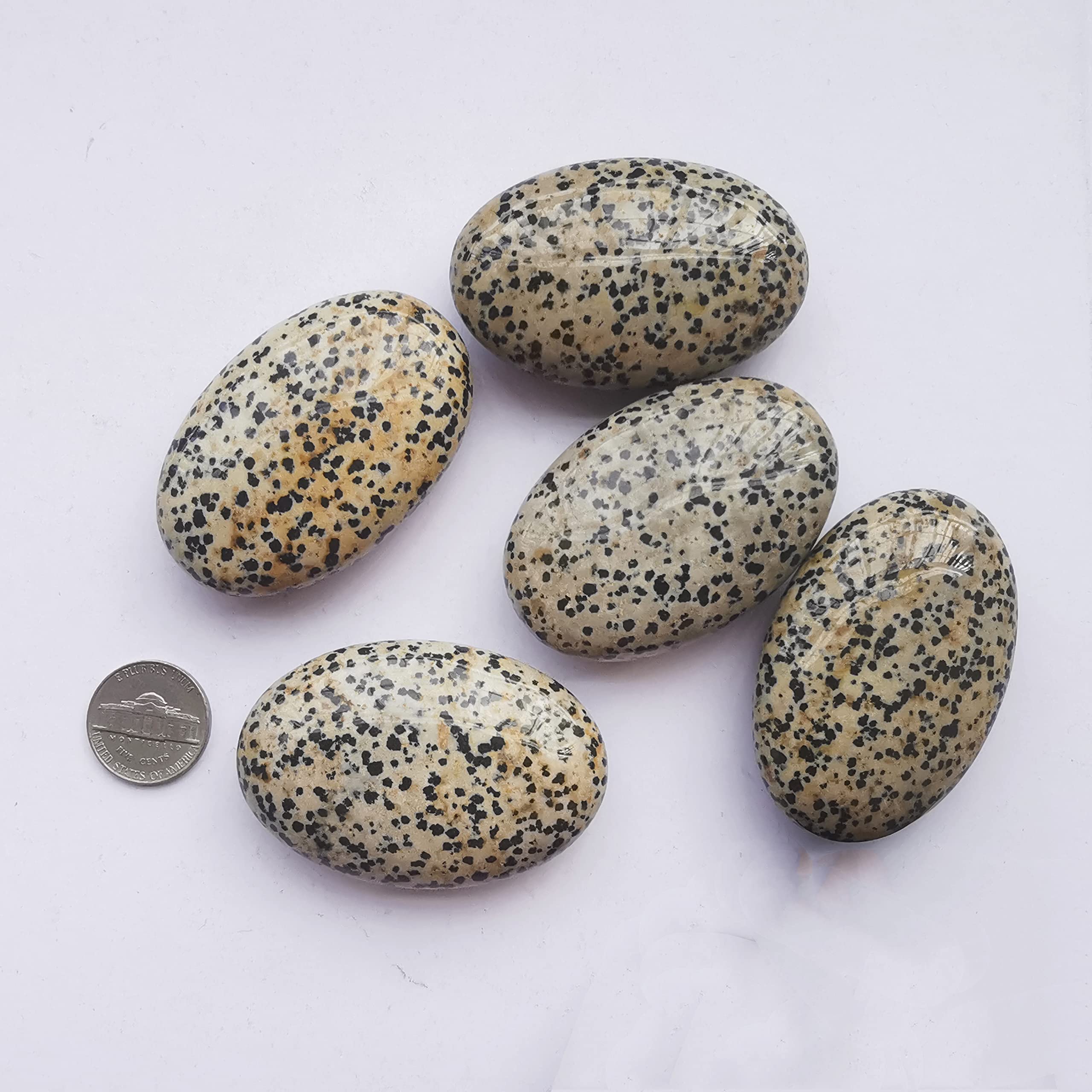 Piedra ovalada dalmatiana de Bacatgem, regalo perfecto para calmar la mente.
