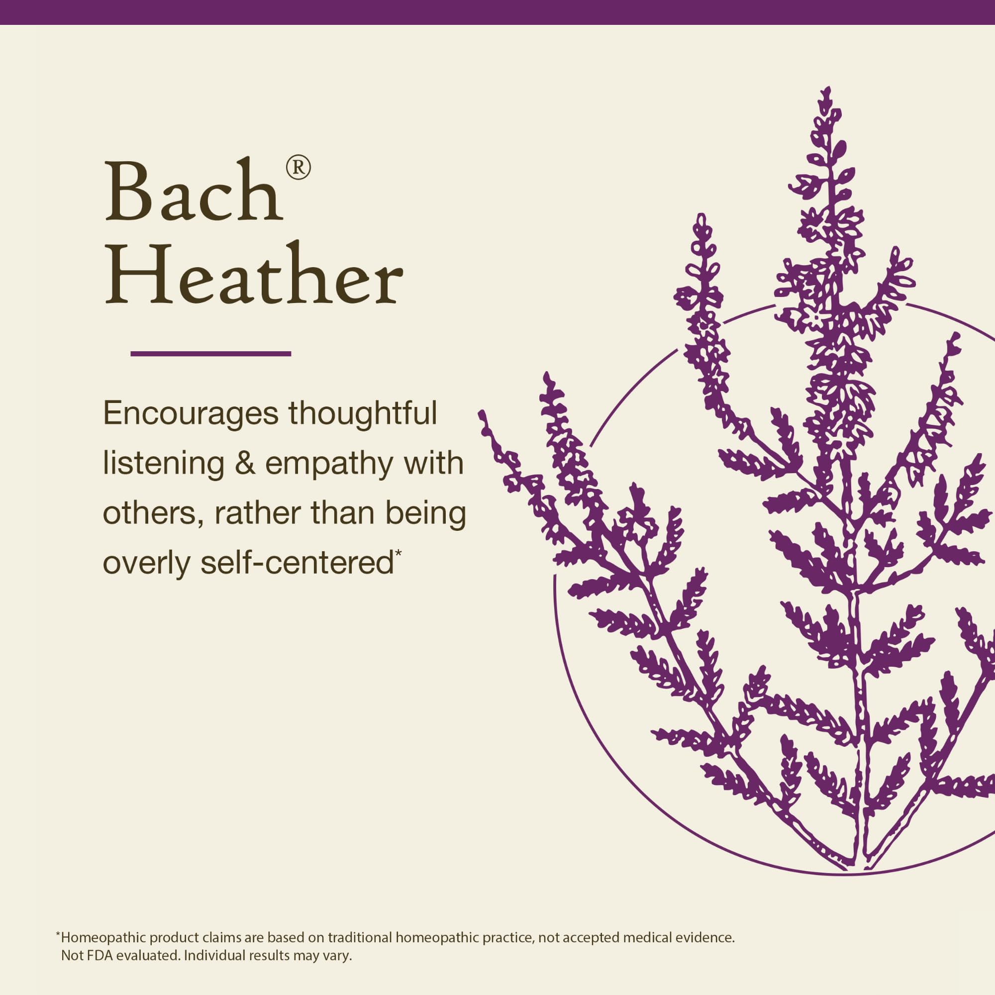 Heather de Bach, rutina diaria para bienestar emocional sin aditivos artificiales.