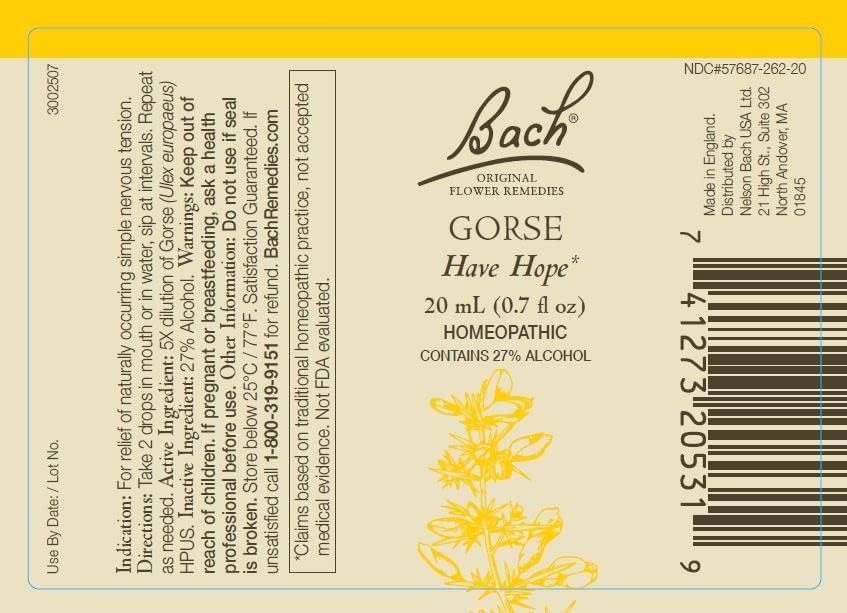 Bach Flower Remedies retama, frascos de 20 mL para esperanza diaria
