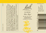 Bach Flower Remedies retama, frascos de 20 mL para esperanza diaria