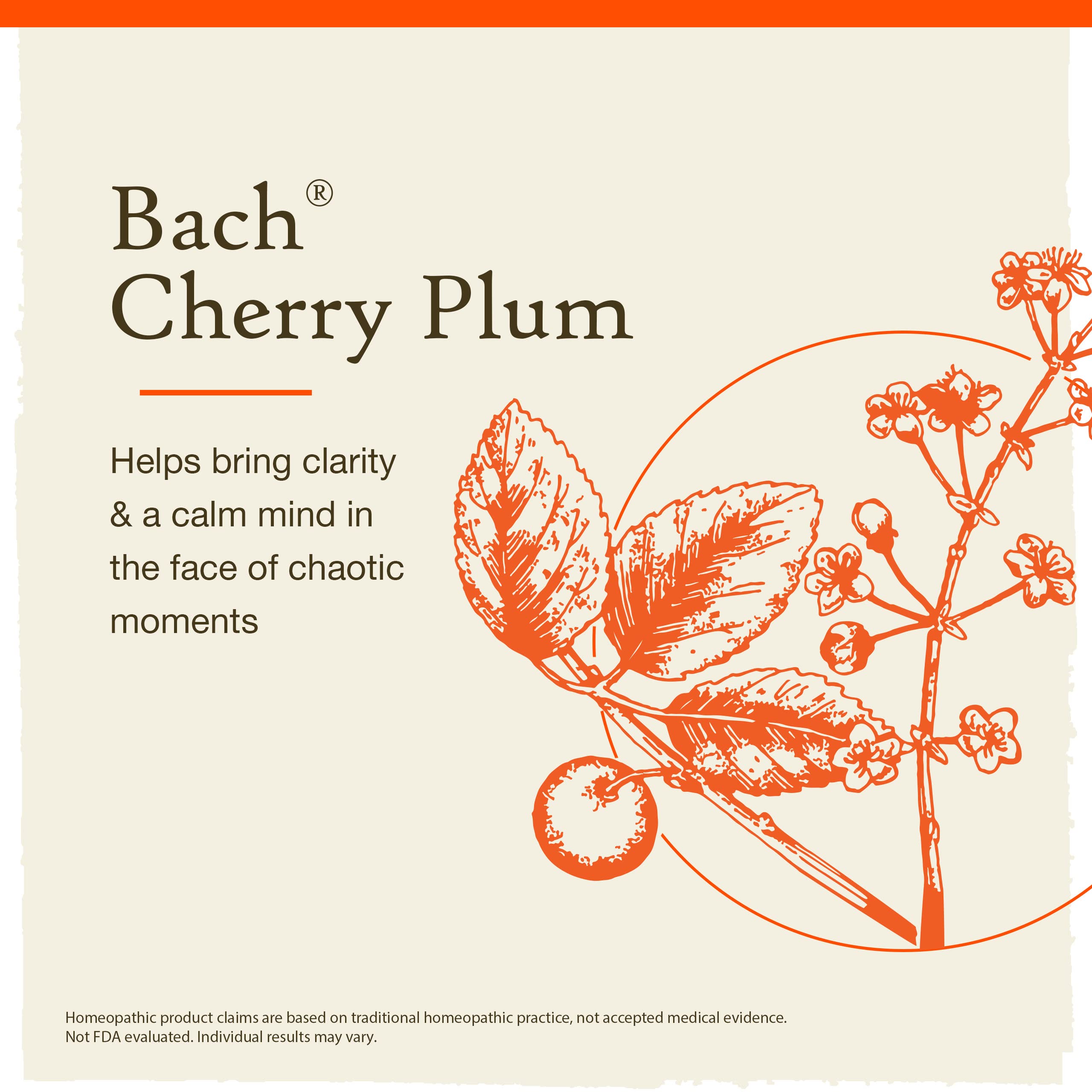 Serenidad diaria con Cherry Plum de Bach Remedios Florales.
