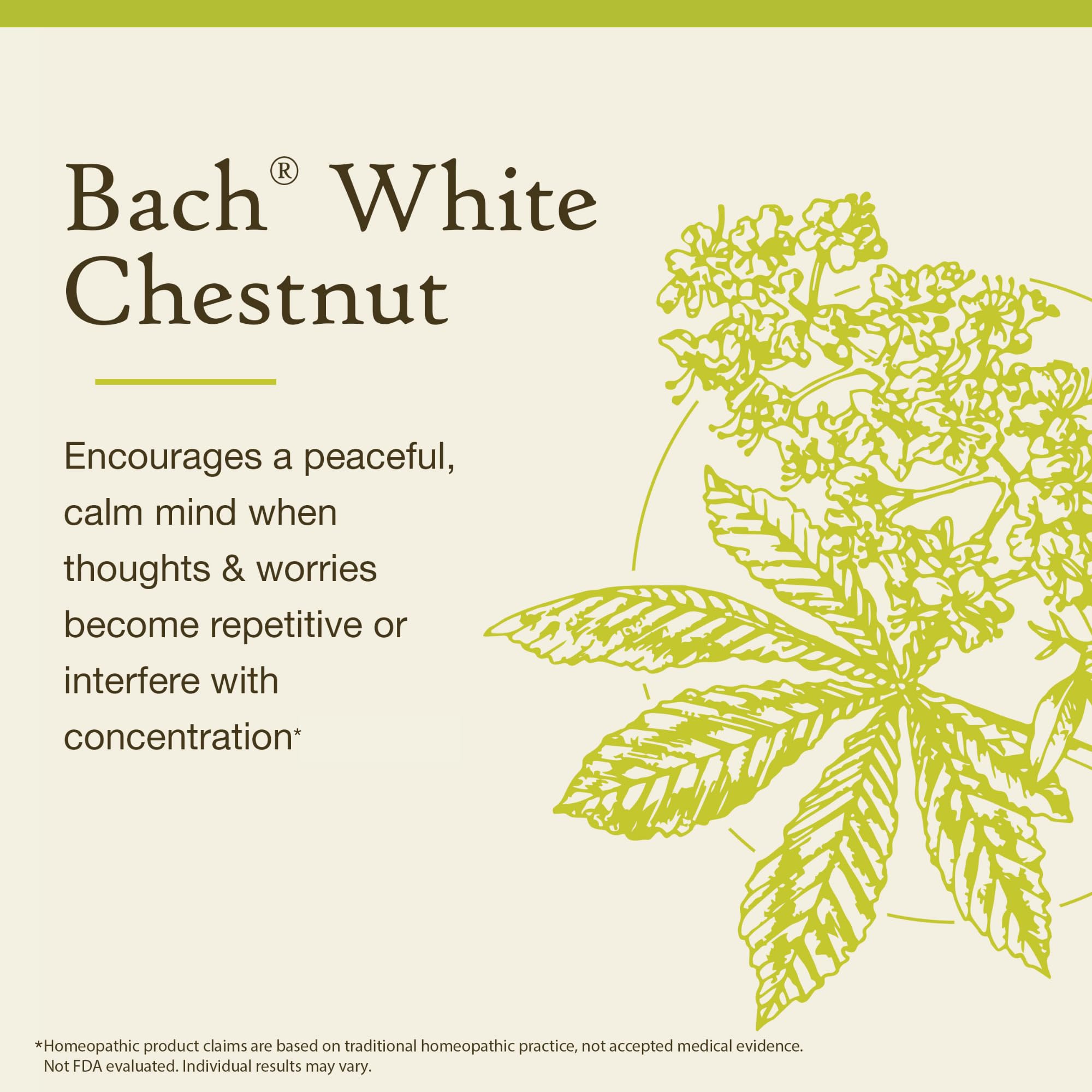 Remedios florales Bach White Chestnut: fórmula vegana para bienestar emocional