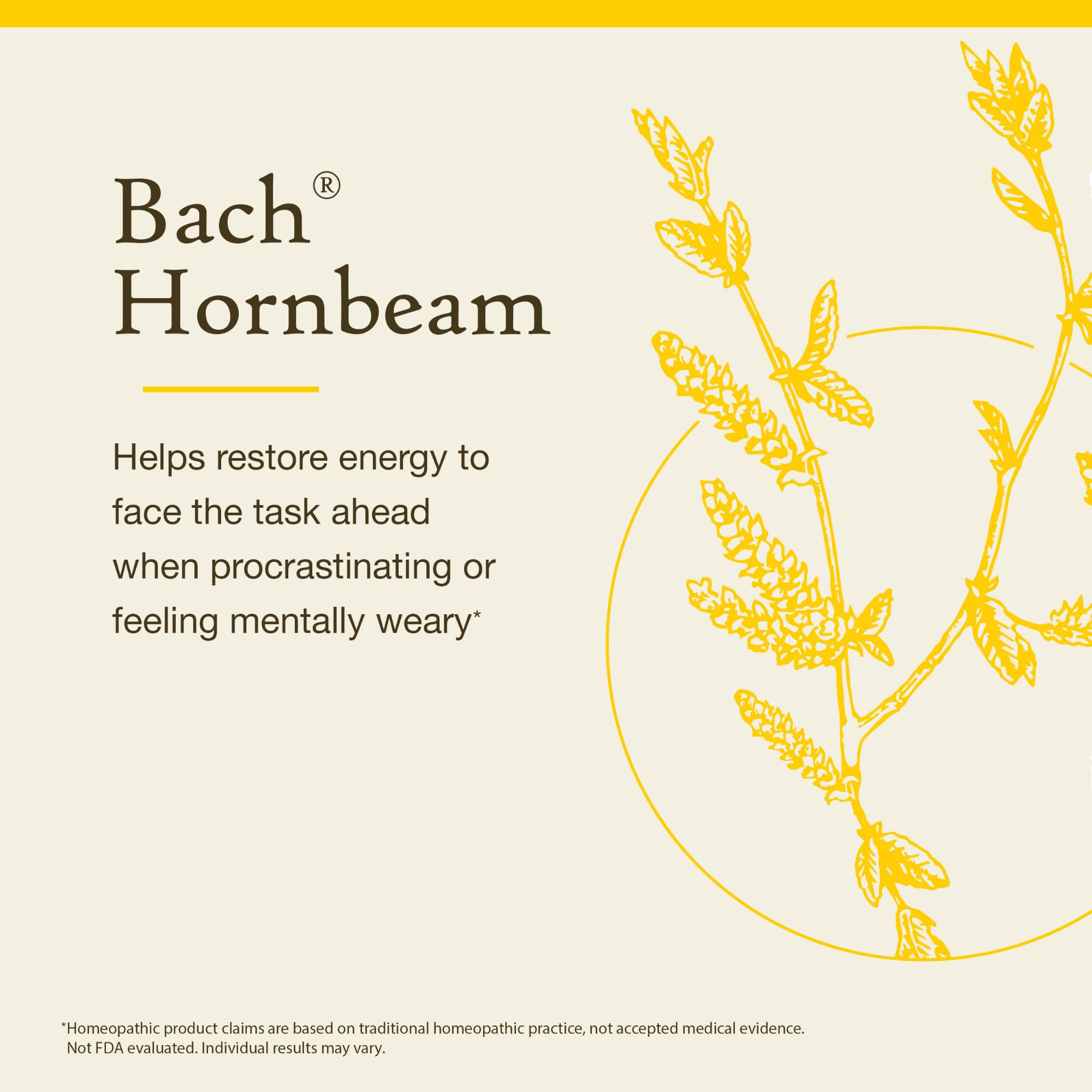 Bach Hornbeam: dosis diaria para enfrentar el día