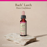 Bach Larch caja y empaque muestran presentación sin alcohol y opciones veganas.