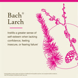Bach Larch etiqueta de ingredientes destaca fórmula natural y libre de alcohol.
