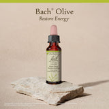 Bach Olive ingredientes: esencias florales naturales y glicerina vegetal