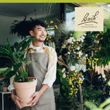 Bach Olive vista del producto: estilo natural para bienestar diario