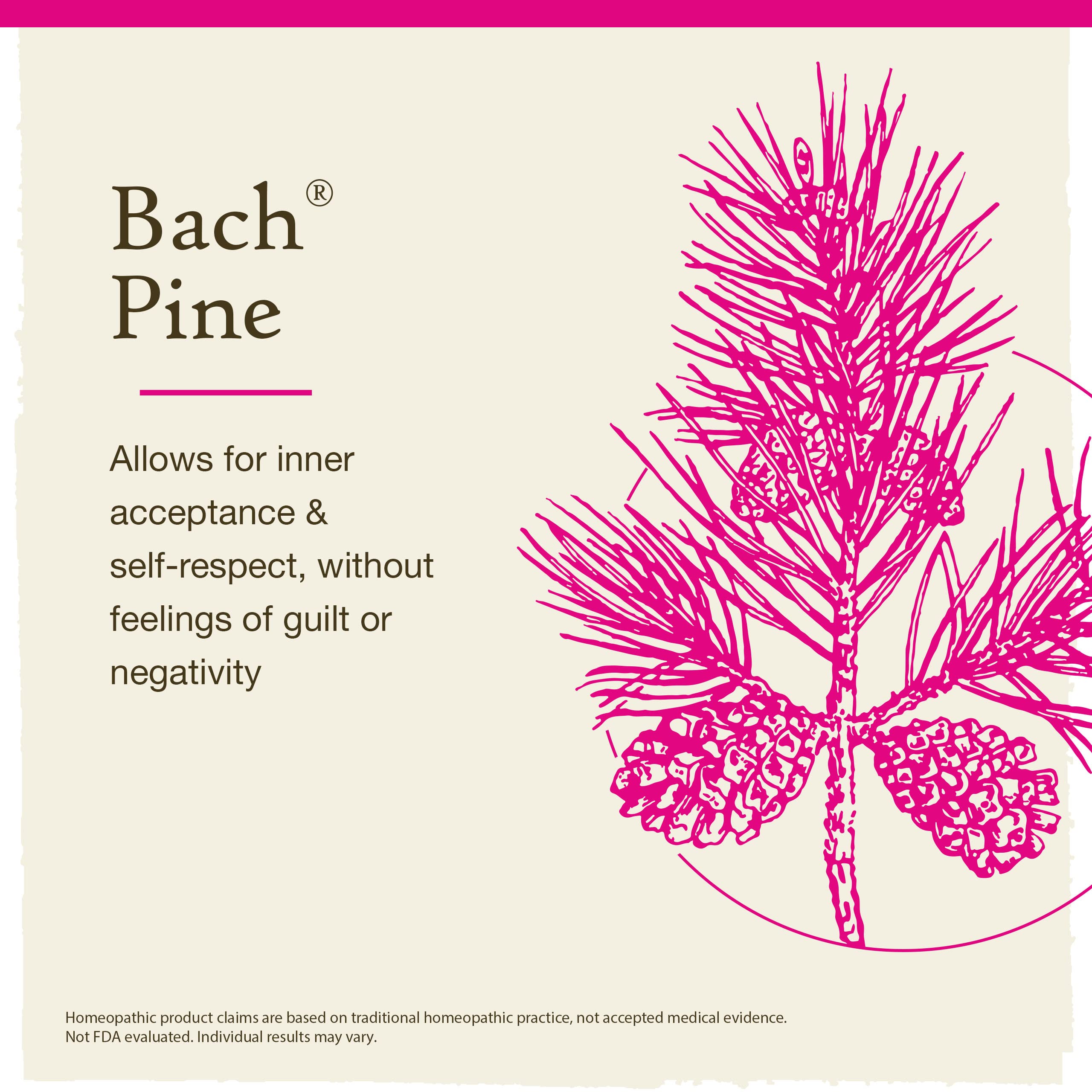 Etiqueta del Pino Bach con ingredientes naturales.