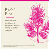 Etiqueta del Pino Bach con ingredientes naturales.