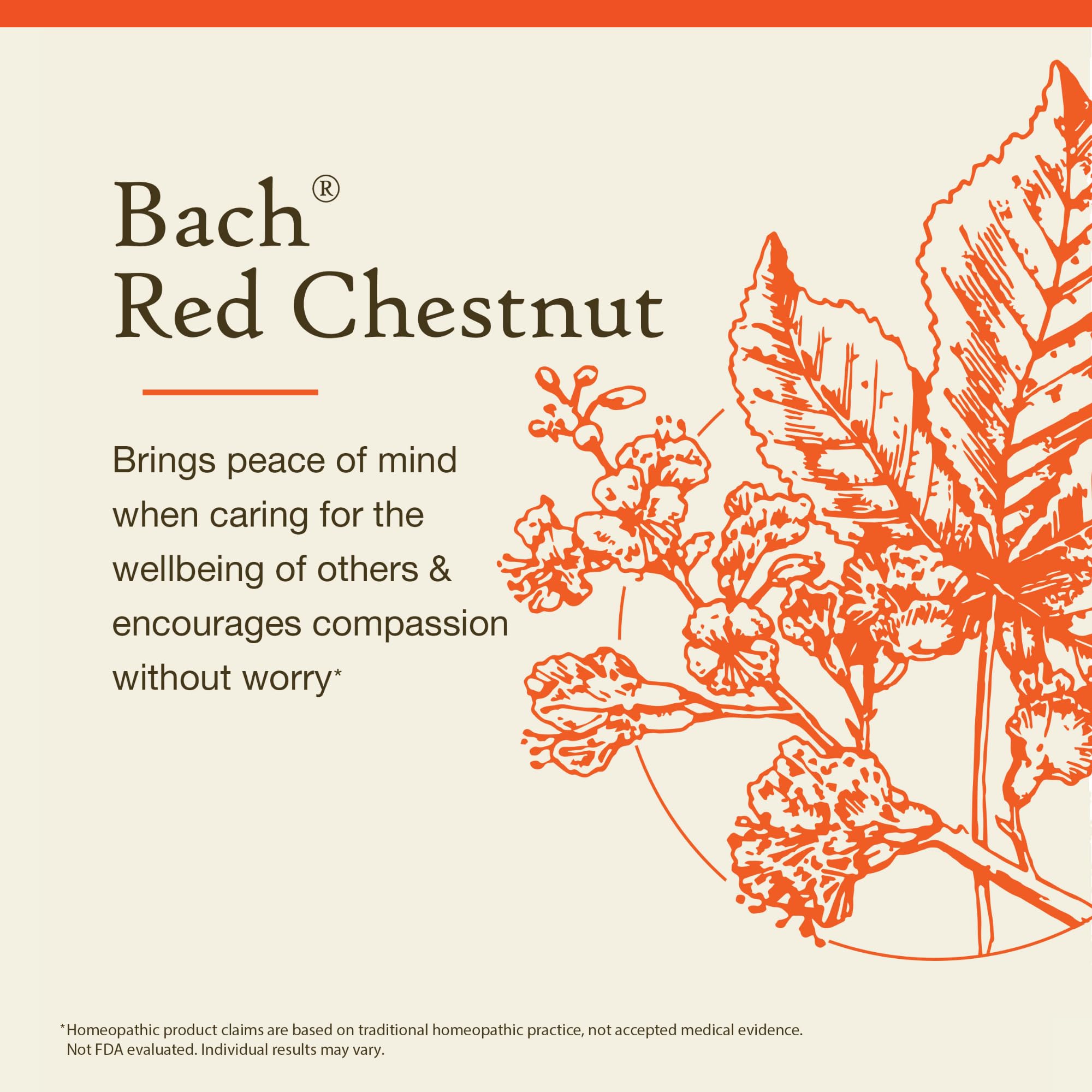 Frasco de Bach Red Chestnut sin alcohol para uso diario