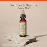 Uso diario con gotas de Bach Red Chestnut para tranquilidad emocional