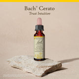 Entorno natural con Cerato de Bach para momentos de serenidad.