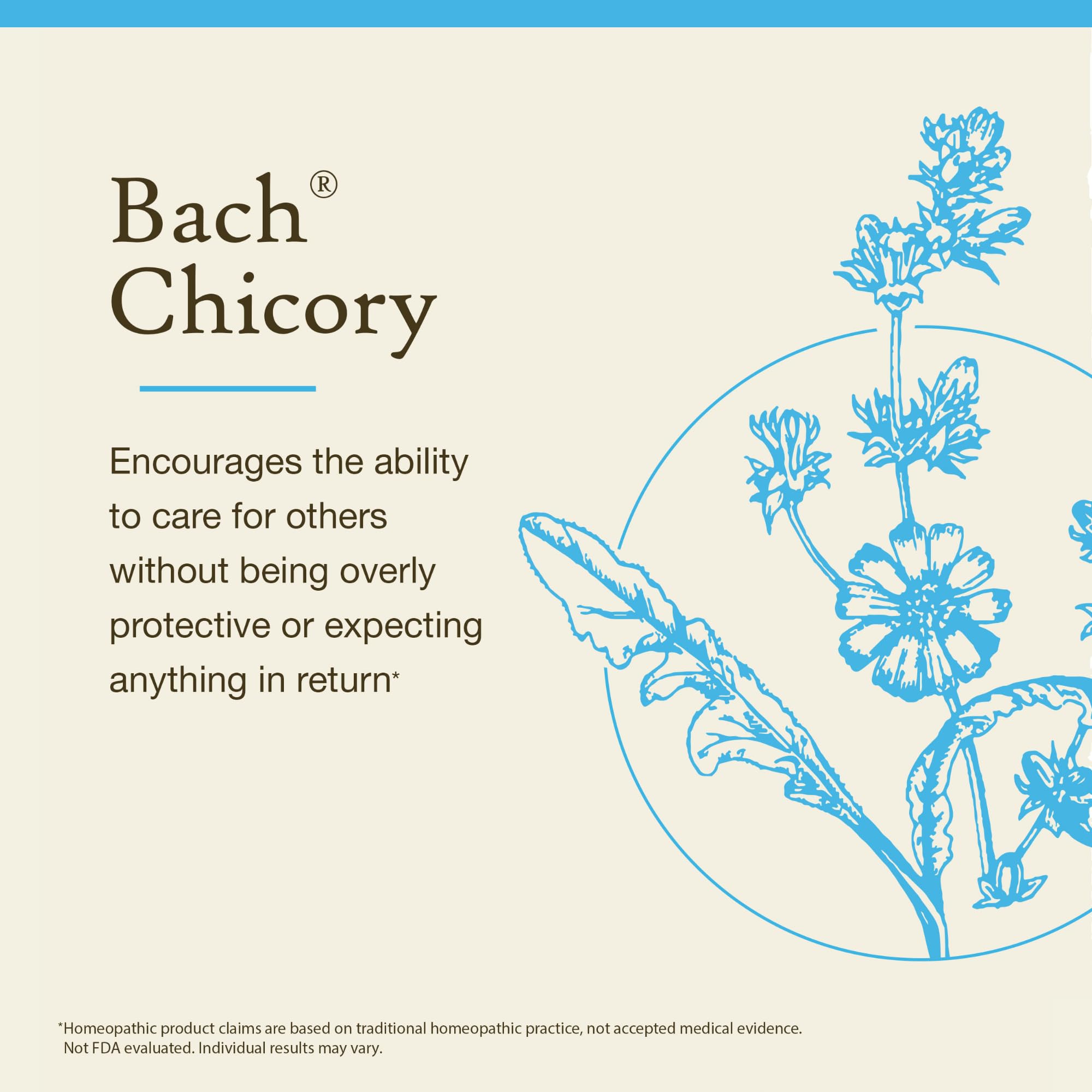 Bach Cicoria, empaque compacto para llevar y cuidar tu estado emocional.