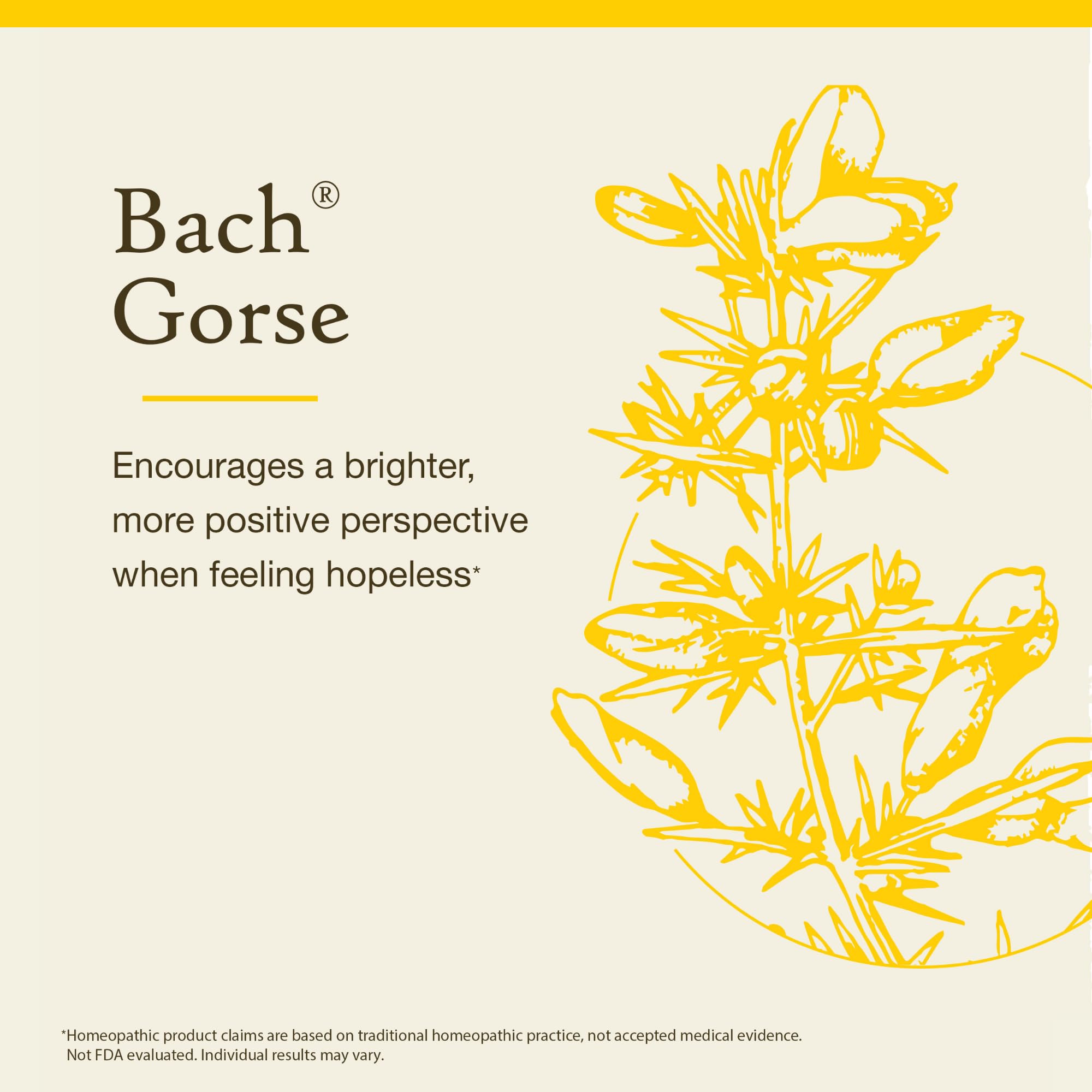 Bach Gorse - frasco sin alcohol, ideal para ritual de calma emocional.