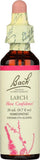 Bach Larch: frasco con gotero para fomentar la confianza al enfrentar nuevas situaciones.