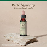 Bach Agrimonia: aplicación diaria para apoyar la comunicación emocional.