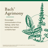 Bach Agrimonia: gotas listas para aportar expresión emocional en el día a día