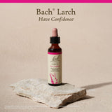 Bach Remedios Florales Alerce presentacion-pack para un ritual sencillo de bienestar.